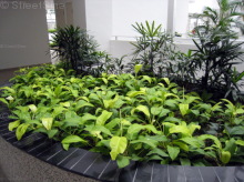 compassvale-link photo thumbnail #19